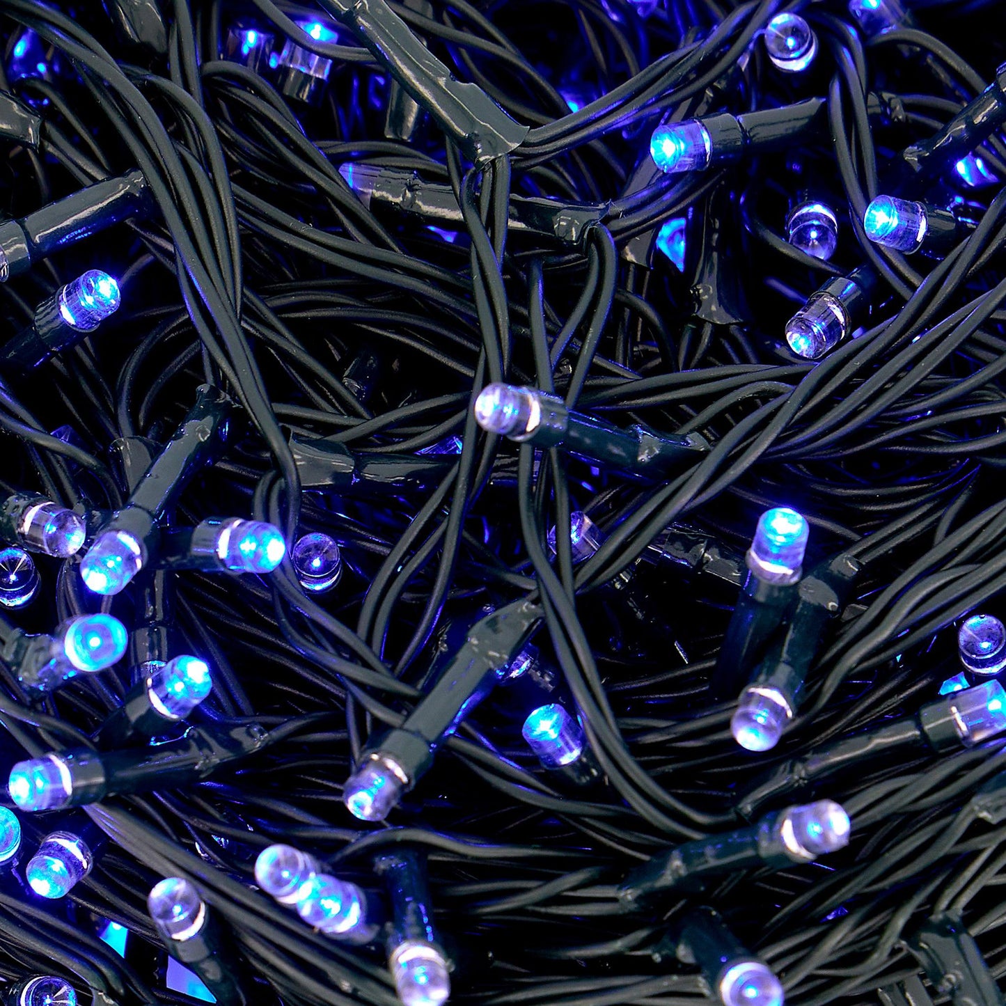 1000 LED Chase Christmas Lights - Blue-5056150226222-Bargainia.com