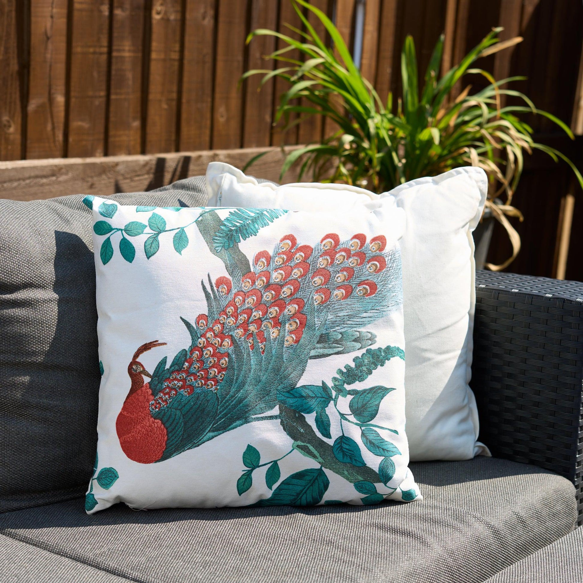 Peacock Outdoor Garden Cushion - 42 x 42cm-8713229053642-Bargainia.com