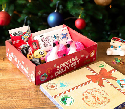 Special Delivery Festive Parcel Christmas Eve Box - Assorted Sizes-Bargainia.com