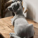 Chihuahua Figurine - Grey Velvet - Lying-5010792476513-Bargainia.com